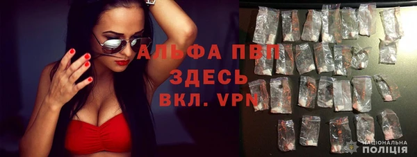 спиды Нефтекумск