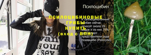 спиды Нефтекумск