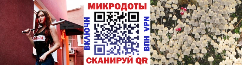 Псилоцибиновые грибы Magic Shrooms  Купить  Торопец 